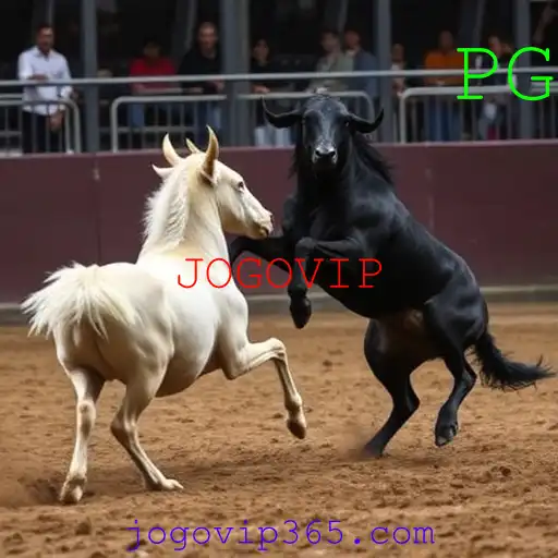 Rinha de galos